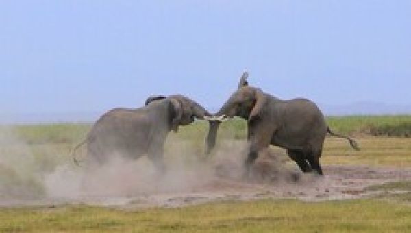 Donald Trump Latest Img