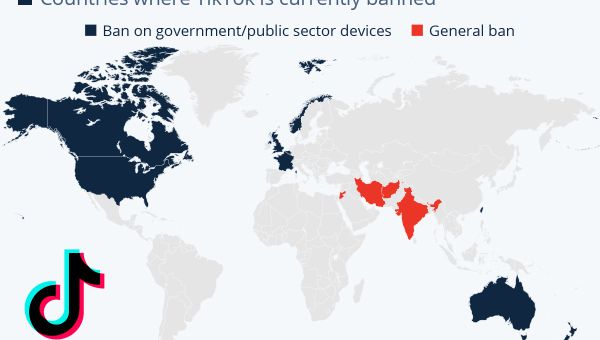 Infographic: TikTok Bans: Security Concerns or Sinophobia?