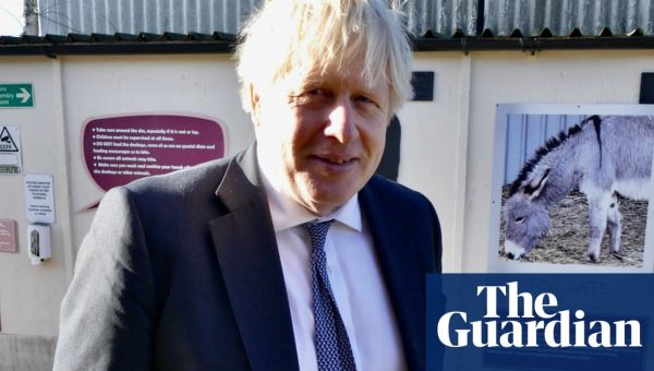 Distant cousin of Boris Johnson acted as credit guarantor while in No 10