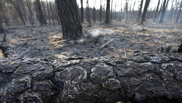 NJ wildfire: Spread like ‘napalm,’ now 50% contained in 13,500 acres