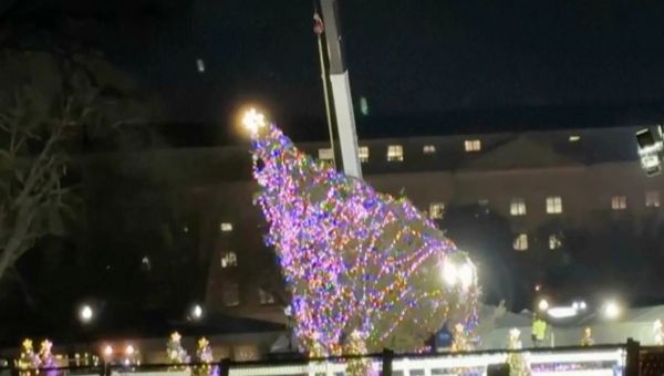 Winds topple 40-foot National Christmas Tree outside White House; video shows crane raising it upright