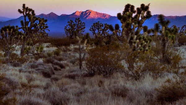 Biden creates national monuments in Nevada, Texas mountains