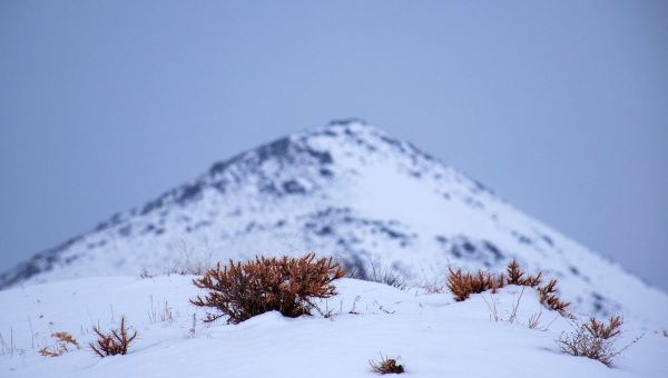 5 killed in horror avalanche on 13,000ft mountain after extreme weather warning