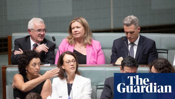 Australian MPs pass motion urging US and UK to allow Julian Assange to return to Australia