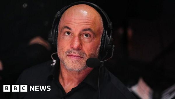 Joe Rogan gives backing to Donald Trump in US election