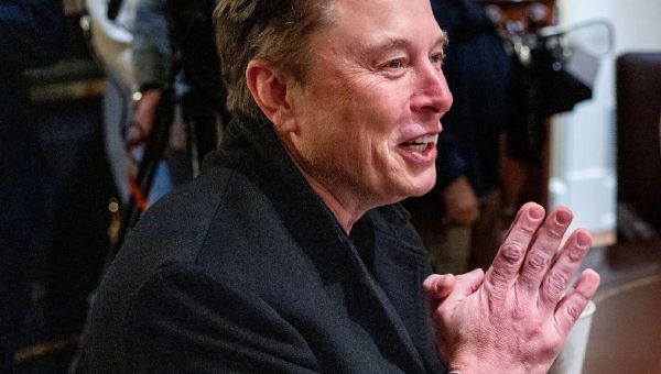 Tesla's profits plummet to five-year low as Musk pays the price of Trump