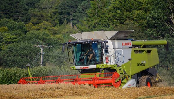 Inheritance tax ‘tears apart’ family farms, Somerset MPs warn