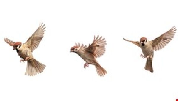 Iranian Fuel Supplies Crippled By Cyber-Attack