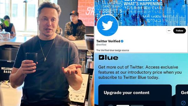 Elon Musk’s Twitter to charge $20 a month for verification check marks
