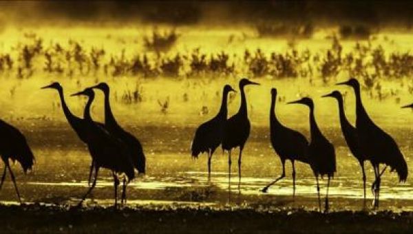 Montanans react to Supreme Court’s ruling on wetlands