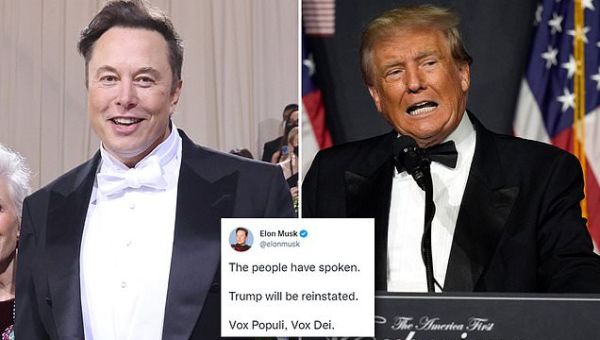 Elon Musk REINSTATES Donald Trump Twitter Account After Holding Poll ...