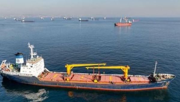 Dozens of states to pledge to combat use of food as weapon of war