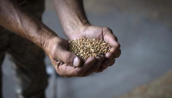 Ukraine President Zelenskyy says defense minister Oleksii Reznikov will be replaced this week