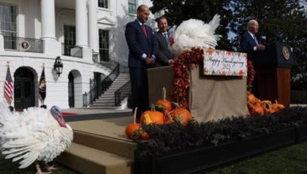 Biden pardons two turkeys, sparing them from Thanksgiving diners