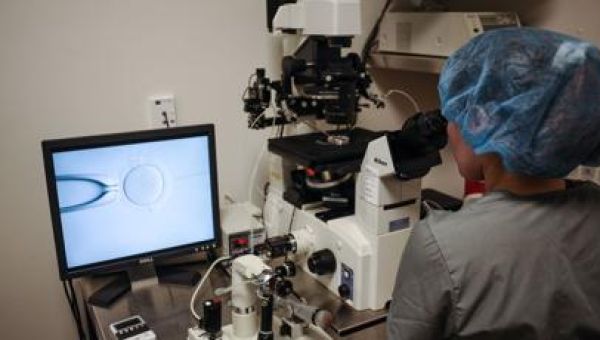 Alabama attorney general's office says it has 'no intention' to prosecute IVF families, providers