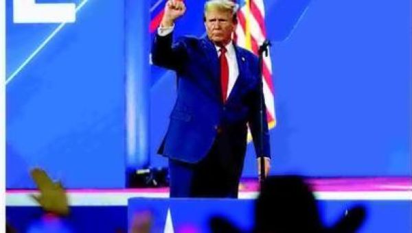 Trump wins SC, beating Haley in her home state