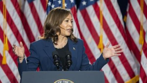 Kamala Harris as the answer: Color me dubious | SONDERMANN