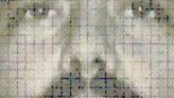 US arrests Mexican drug lord ‘El Mayo’ and son of ‘El Chapo’ in Texas