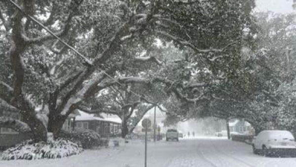 ‘Like Christmas Day’: Many in Baton Rouge enjoy rare winter wonderland; LSU students see first snowfall