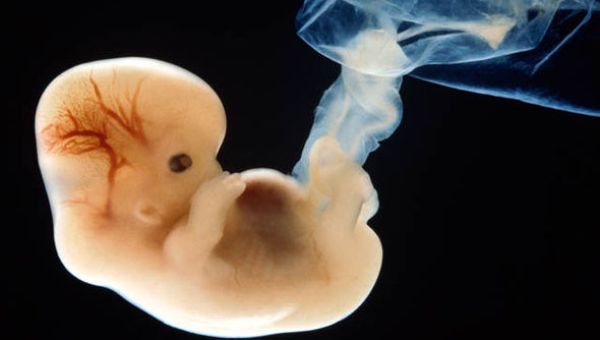 Court Ruling Stopping Mail-Order Abortions Could Cut Abortions 15%, Save 140,000 Babies – LifeNews.com