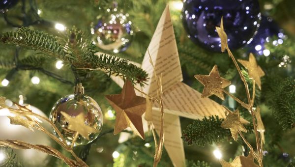 2023 National Christmas Tree lighting ceremony: How to watch the 101st celebration live