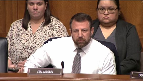 DAVID MARCUS delivers a knockout blow to brawling fools in Congress