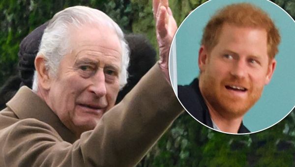 Charles only saw Harry for 30 minutes ‘to keep stress levels down’