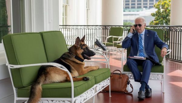 Biden's dog Commander bit Secret Service agents in 24 'incidents'