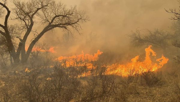 Smokehouse Creek Wildfire is the largest blaze in Texas history