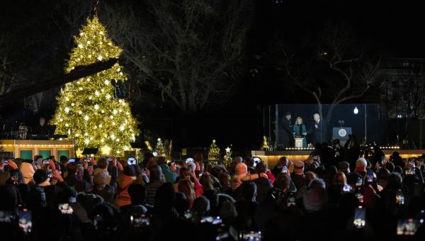 National Christmas Tree toppled by strong winds near White House