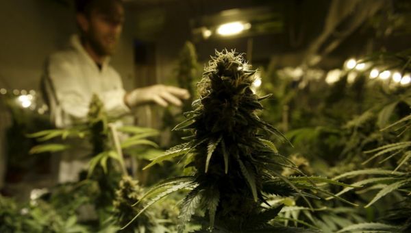 South Dakota votes on marijuana legalization for third time