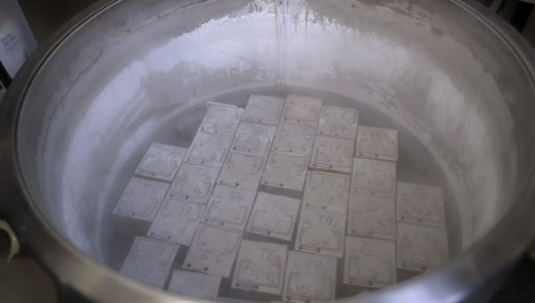 More Alabama IVF providers pause treatment after court ruling