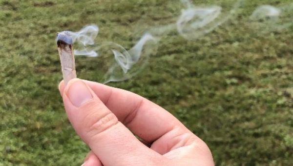 Ohioans will decide on a law on recreational marijuana this week