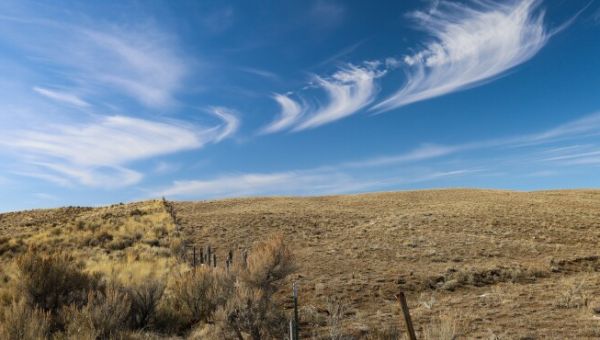 Interior Boosts Sage-Grouse Safeguards Before Trump Takes Office