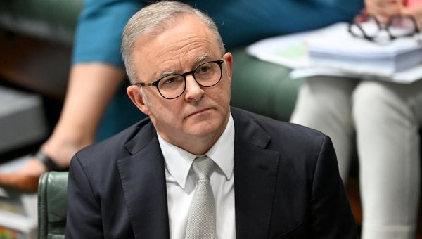 Nat Barr exposes why Anthony Albanese might need to apologise to Trump