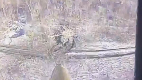 British tanks ‘being used by Ukraine’ in surprise ‘counterattack’