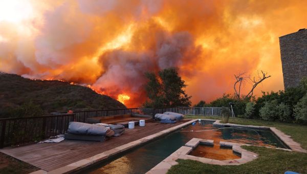 Trump’s and Musk’s Disgusting Response to California Fires