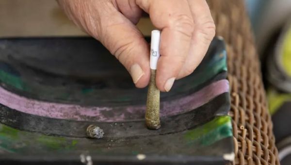 Justice Department officially proposes marijuana reclassification