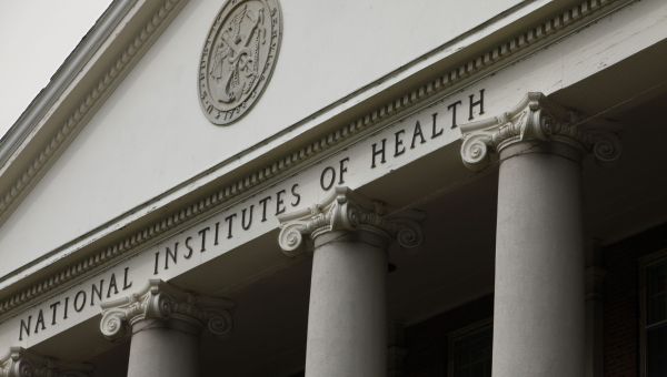What to know about Dr. Jay Bhattacharya, Trump's pick for NIH director - Washington Examiner