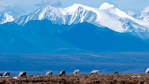 Biden administration cancels 7 remaining oil and gas leases Trump gave in Alaska’s Arctic Refuge