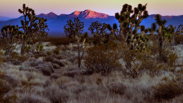 ‘Place of healing’: Avi Kwa Ame named Nevada’s 4th national monument