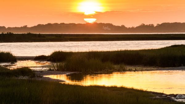 Supreme Court rules against EPA on wetlands protections, which could have far-reaching effects across country – Maryland Matters