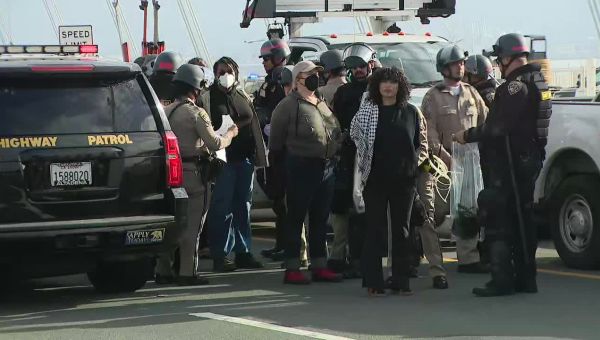 Pro-Palestine Protesters Shut Down Bay Bridge – Article Bias Rating ...