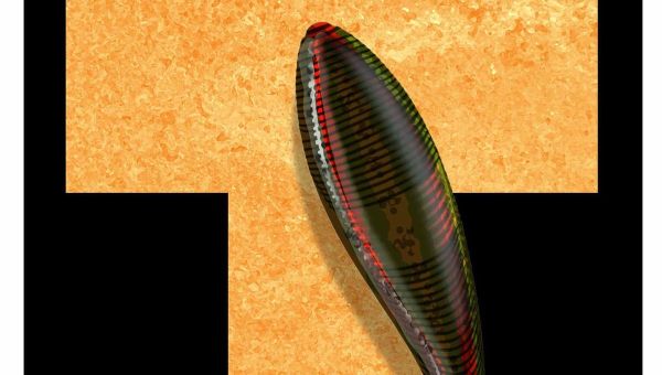 When the Never Trump industry profits, America loses