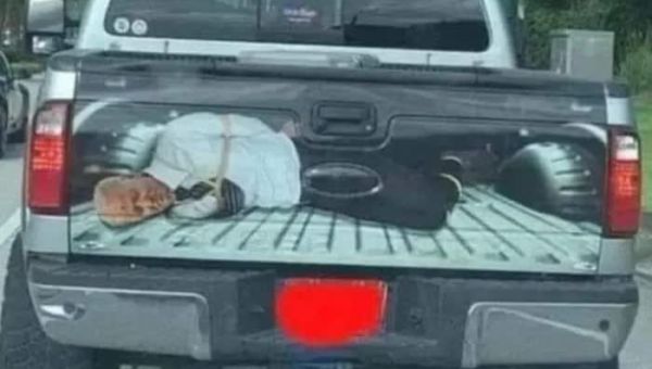 Trump Truths Tied-Up Truck Taunt