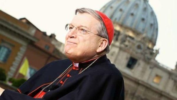 Pope Francis reportedly takes Vatican apartment, salary from Cardinal Burke