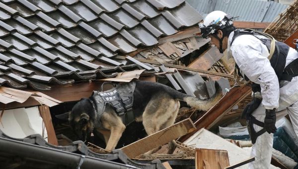 ‘Race against time’ in hunt for survivors after Japan earthquakes leave 73 dead