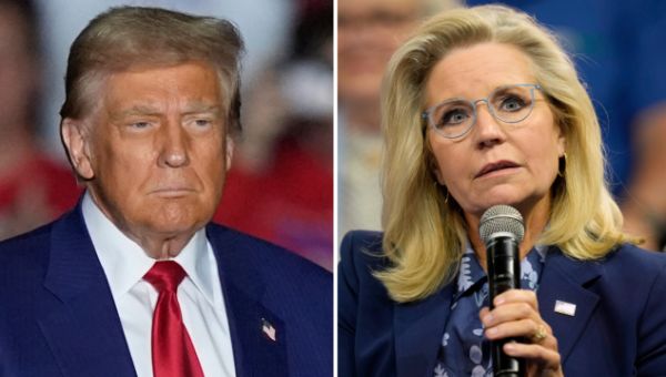 CNN contributor takes back Cheney ‘firing squad’ quip: ‘I was wrong’