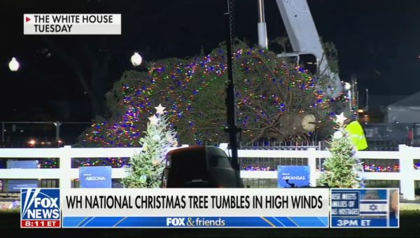 Fox & Friends Delight in White House Christmas Tree Falling