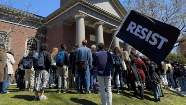 Harvard president takes pay cut as university attempts to cover frozen funds